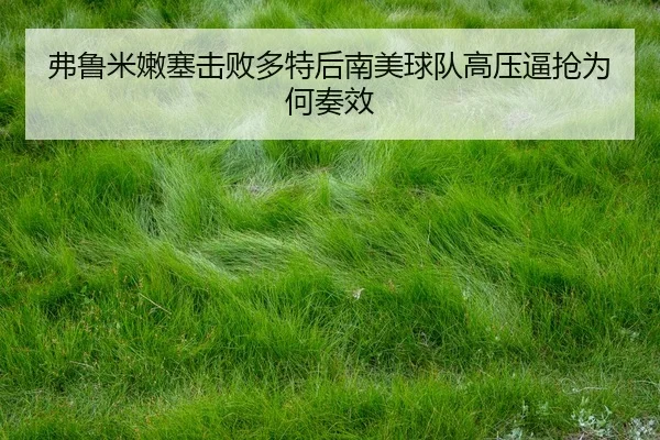 弗鲁米嫩塞击败多特后南美球队高压逼抢为何奏效