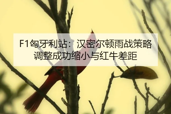 xiong-ya-li-zhan-han-mi-er-dun-yu-zhan-ce-lve-tiao-zheng-cheng-gong-suo-xiao-yu-hong-niu-cha-ju-3-641.jpg