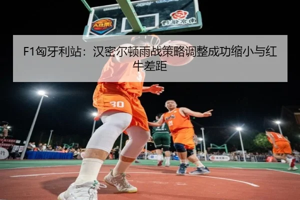 F1匈牙利站：汉密尔顿雨战策略调整成功缩小与红牛差距