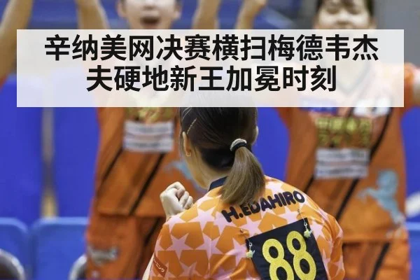辛纳美网决赛横扫梅德韦杰夫硬地新王加冕时刻