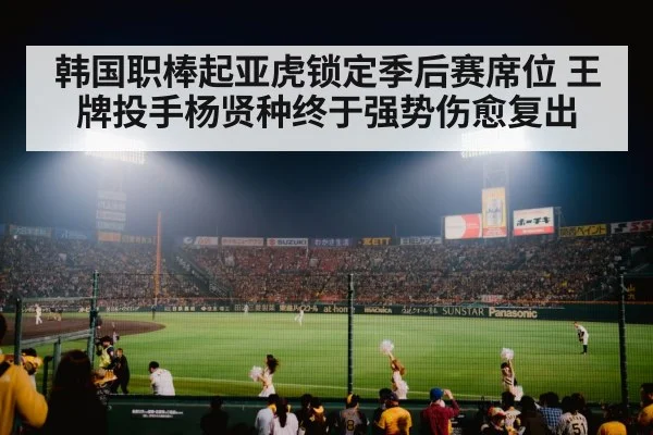 baseball stadium night lights