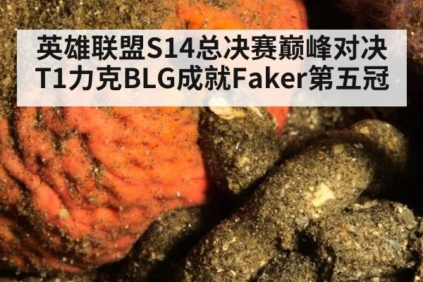 英雄联盟S14总决赛巅峰对决T1力克BLG成就Faker第五冠